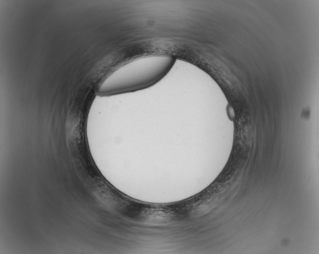 X0000116760597201001141431