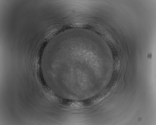 X0000116760599201001141431