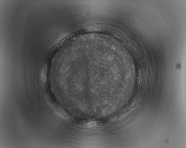 X0000116760600201001141431