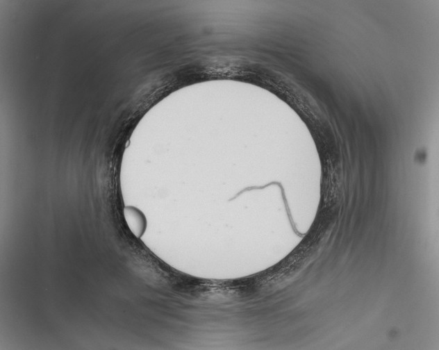 X0000116760601201001141431