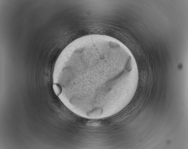 X0000116760602201001141431