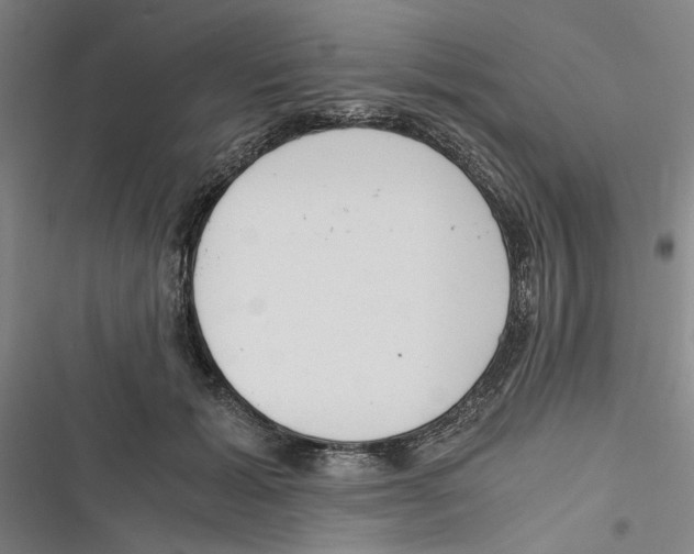 X0000116760605201001141431