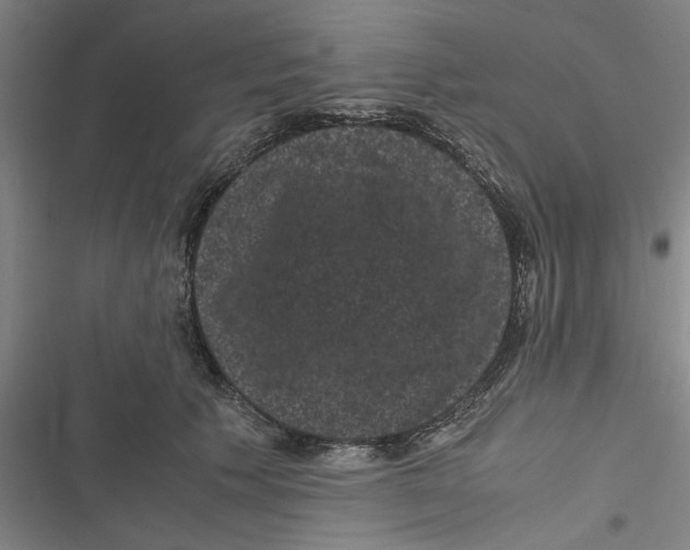 X0000116760609201001141431