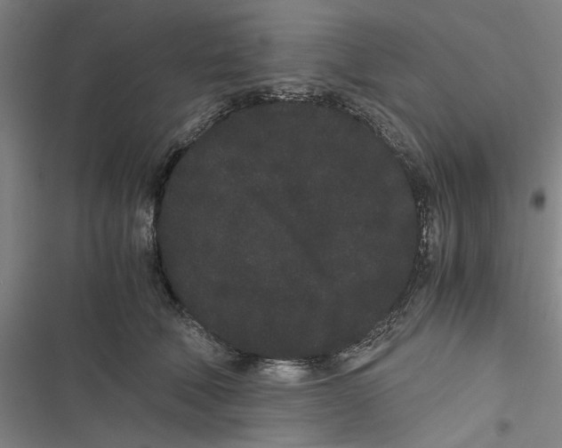 X0000116760610201001141431