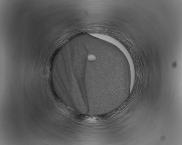 X0000116760611201001141431