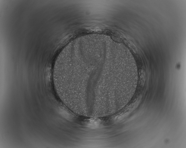 X0000116760612201001141431