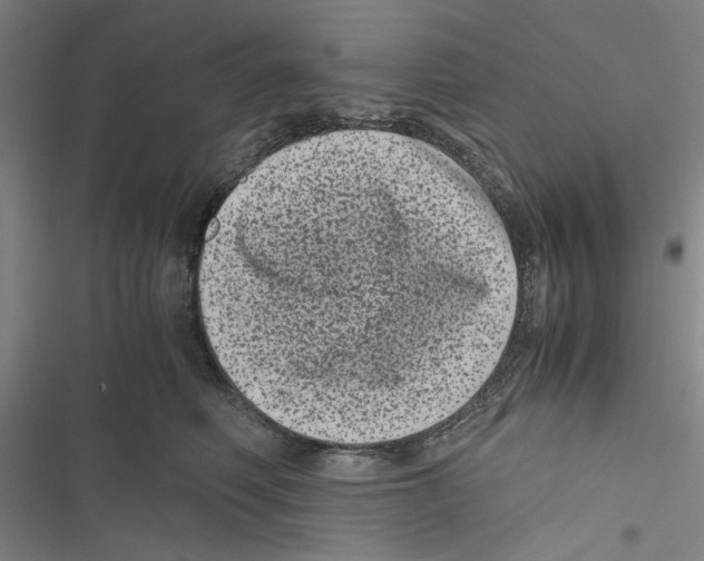 X0000116760614201001141431