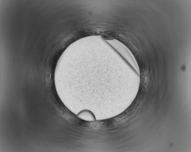 X0000116760615201001141431