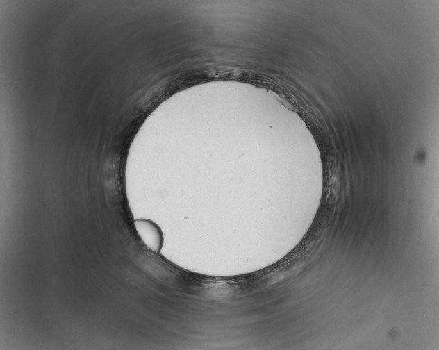 X0000116760616201001141431