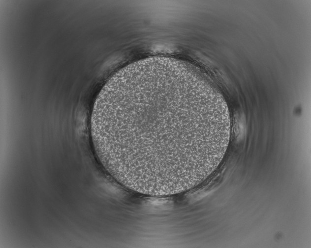 X0000116760619201001141431