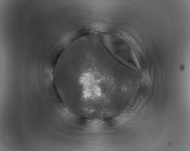 X0000116760621201001141431