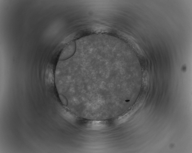 X0000116760622201001141431