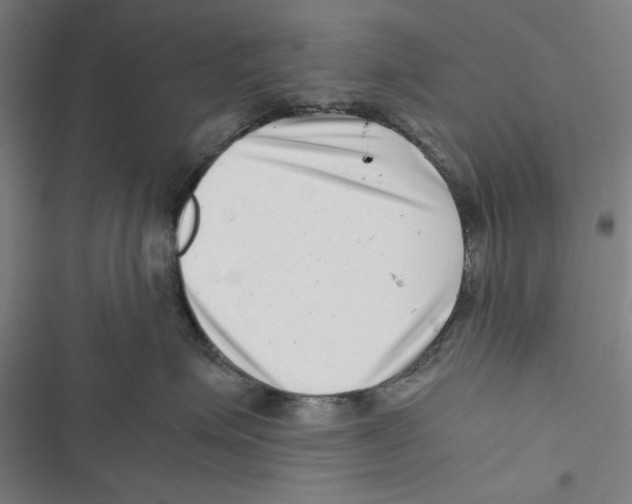 X0000116760623201001141431