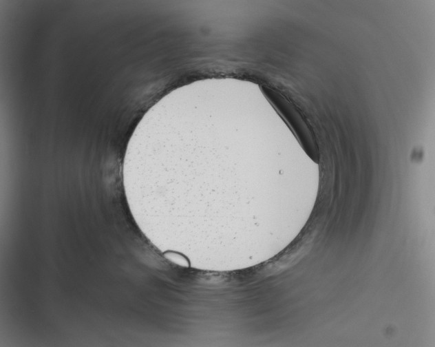 X0000116760624201001141431