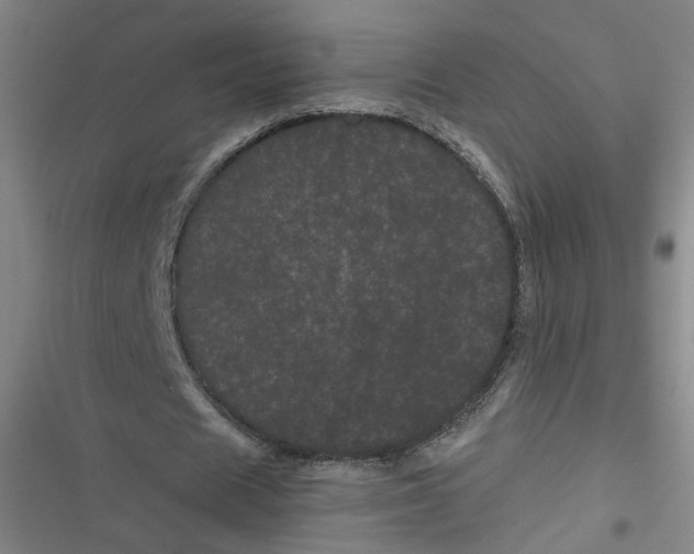 X0000116760625201001141430