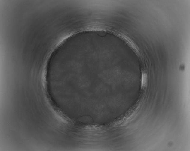 X0000116760627201001141430