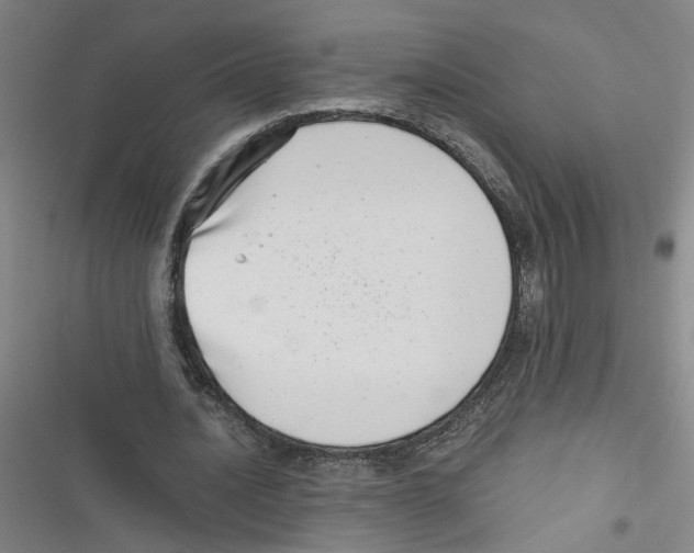 X0000116760628201001141430