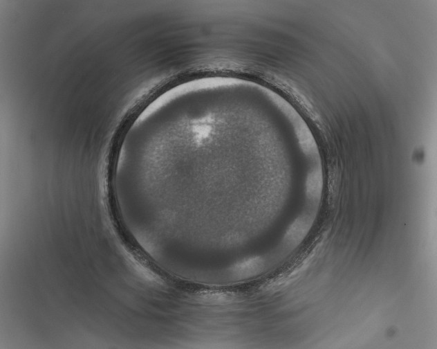 X0000116760629201001141430