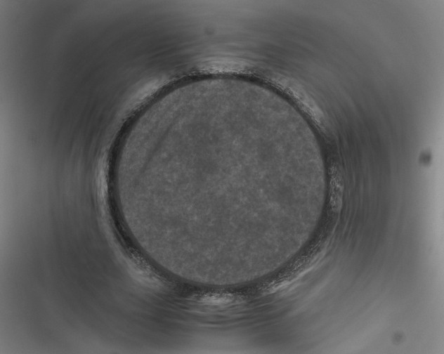 X0000116760631201001141430