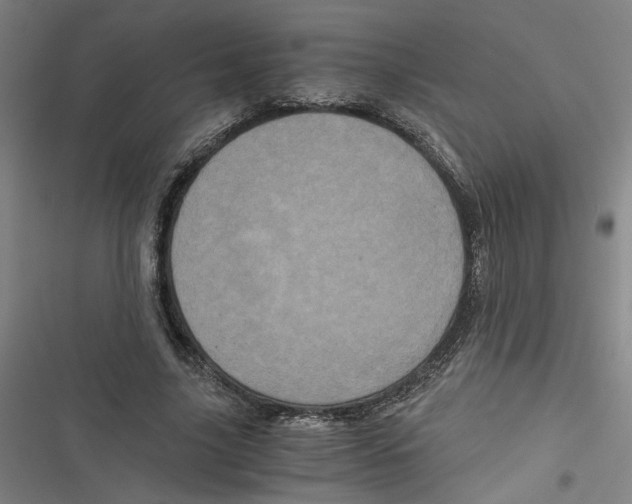 X0000116760635201001141430