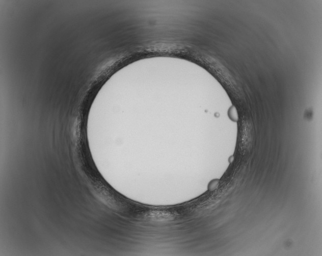 X0000116760636201001141430