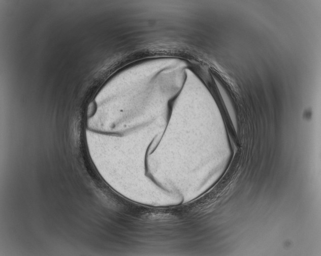 X0000116760637201001141430