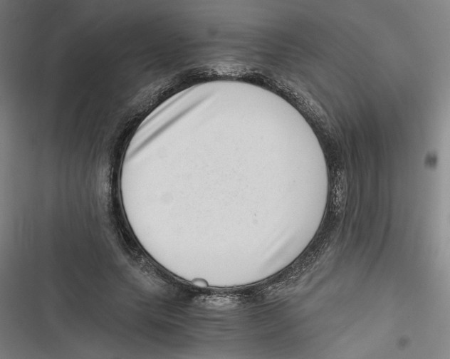 X0000116760639201001141430