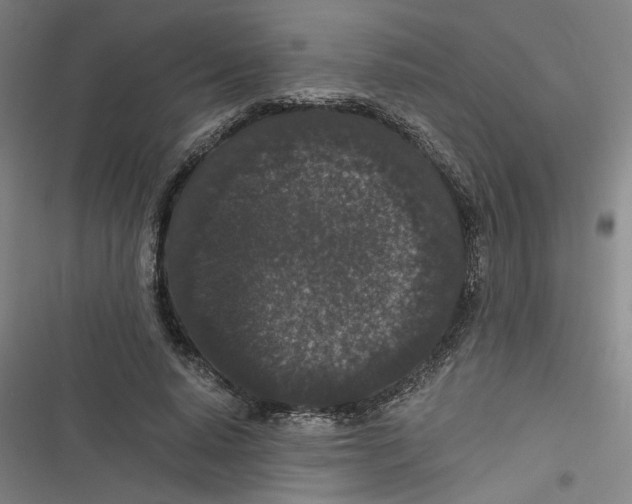 X0000116760640201001141430