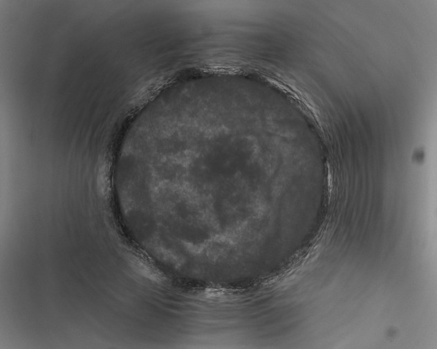 X0000116760641201001141430