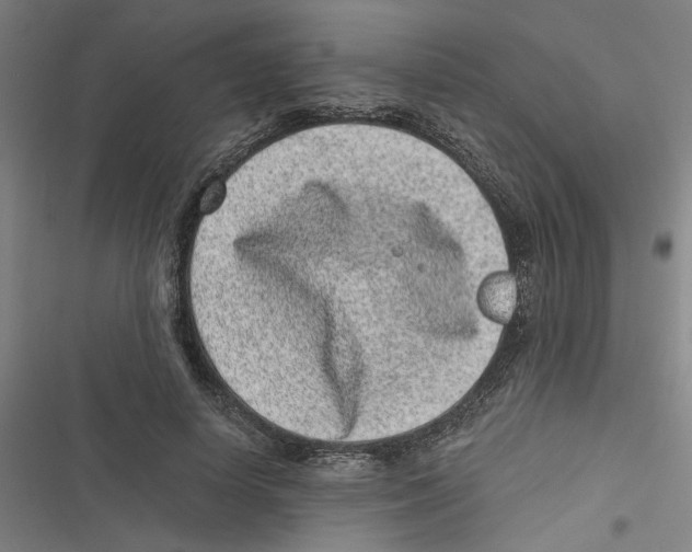 X0000116760642201001141430