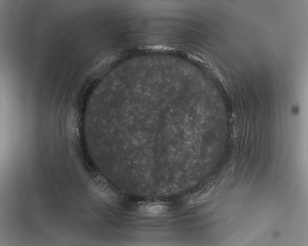 X0000116760643201001141430