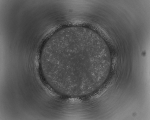 X0000116760644201001141430