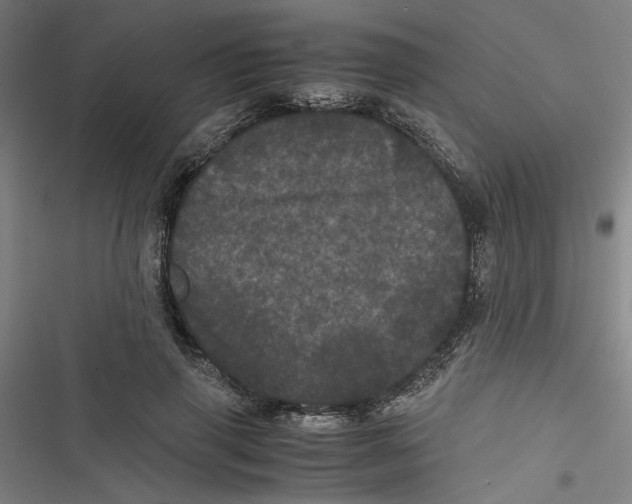 X0000116760645201001141430