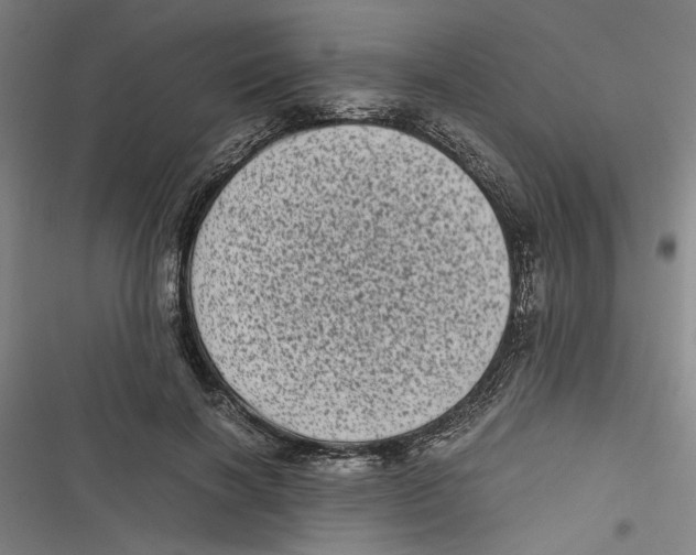 X0000116760646201001141430