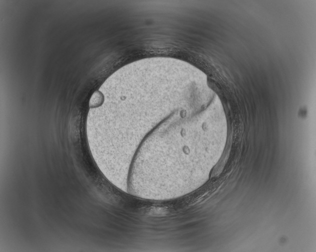 X0000116760647201001141430