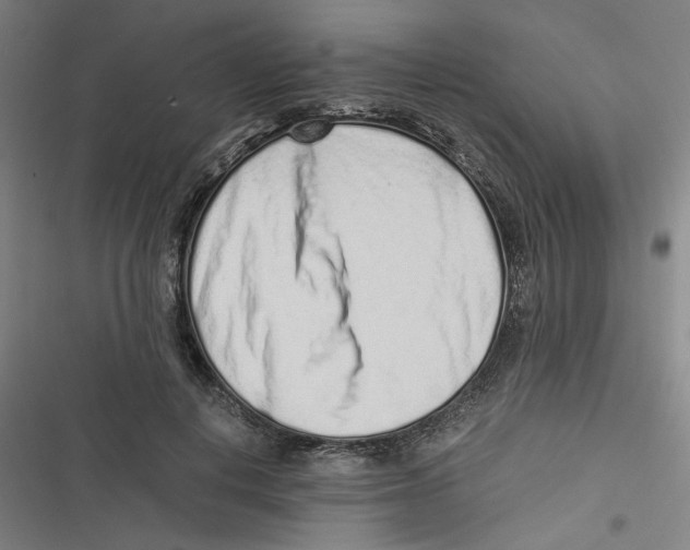 X0000116760648201001141430