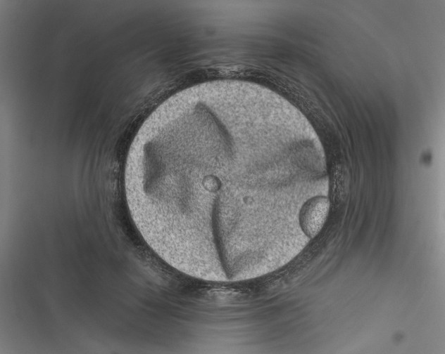 X0000116760650201001141431