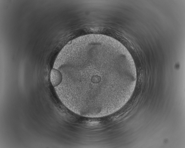 X0000116760651201001141431