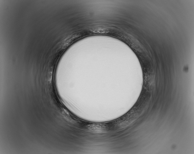 X0000116760652201001141431