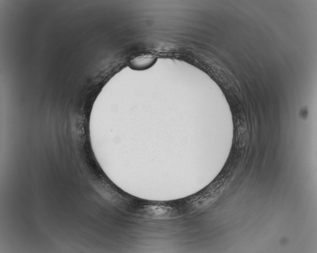 X0000116760654201001141431