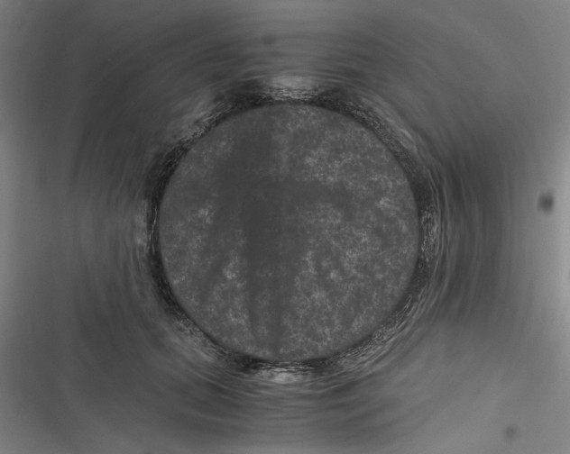 X0000116760655201001141431