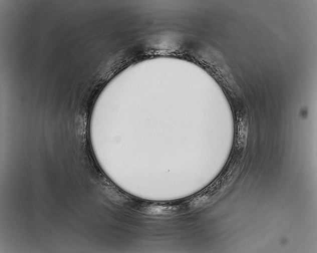 X0000116760657201001141431