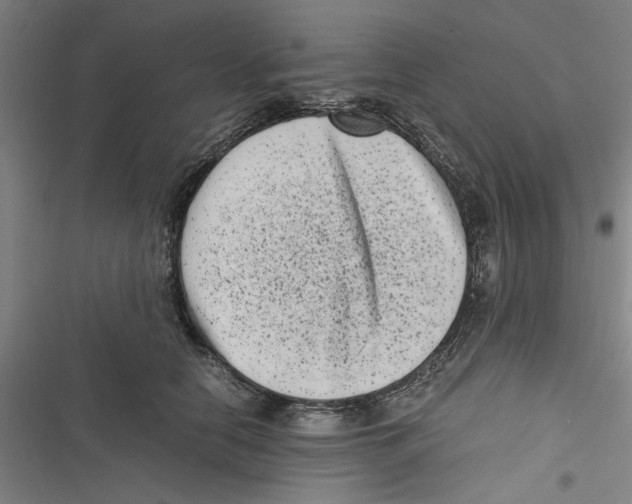 X0000116760658201001141431