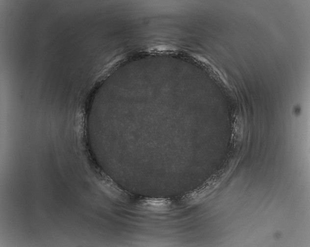 X0000116760659201001141431