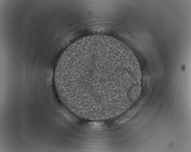 X0000116760660201001141431