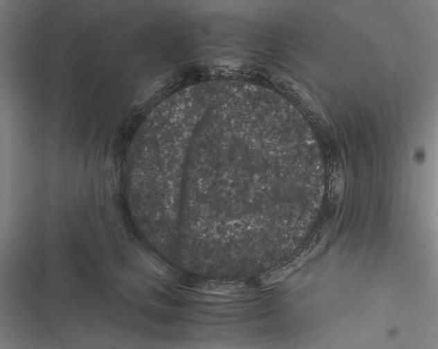 X0000116760661201001141431