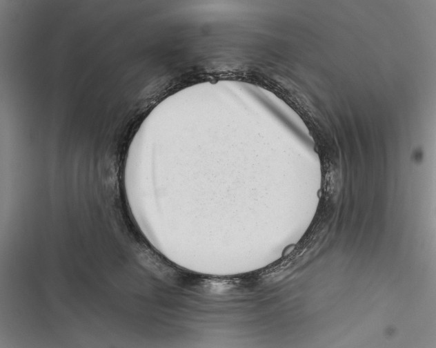 X0000116760662201001141431