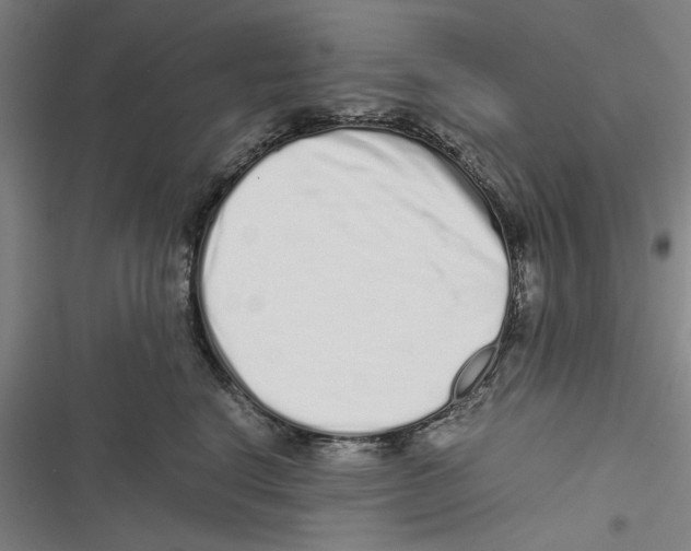 X0000116760664201001141431