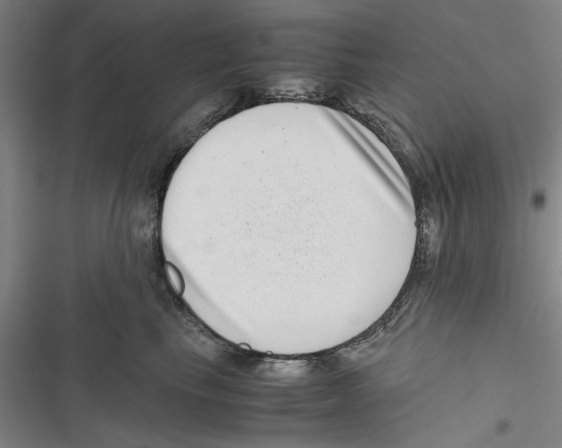 X0000116760665201001141431