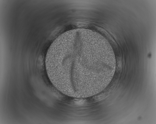 X0000116760667201001141431